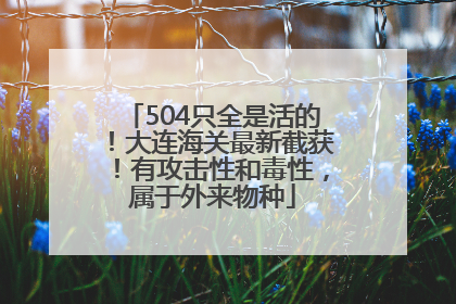 504只全是活的！大连海关最新截获！有攻击性和毒性，属于外来物种