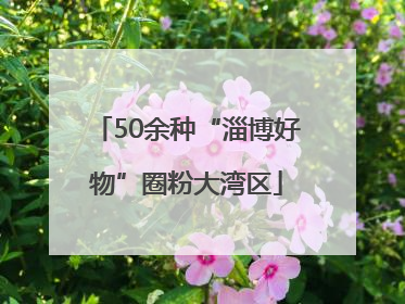 50余种“淄博好物”圈粉大湾区