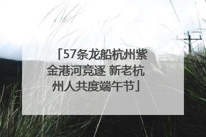 57条龙船杭州紫金港河竞逐 新老杭州人共度端午节