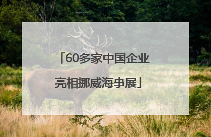 60多家中国企业亮相挪威海事展