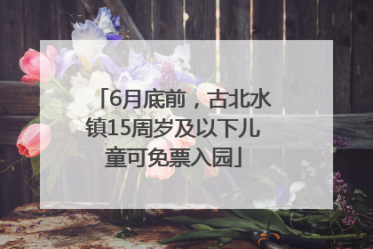 6月底前，古北水镇15周岁及以下儿童可免票入园