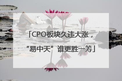 CPO板块久违大涨，“易中天”谁更胜一筹