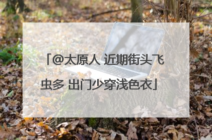 @太原人 近期街头飞虫多 出门少穿浅色衣