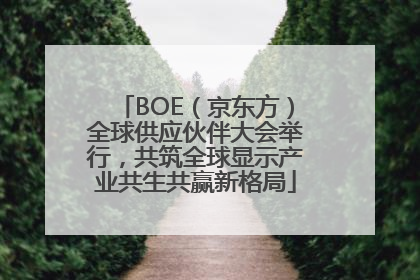 BOE（京东方）全球供应伙伴大会举行，共筑全球显示产业共生共赢新格局